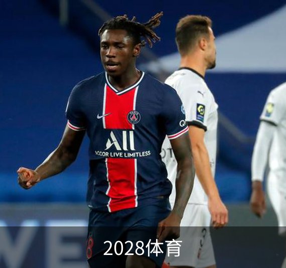 了解2028体育